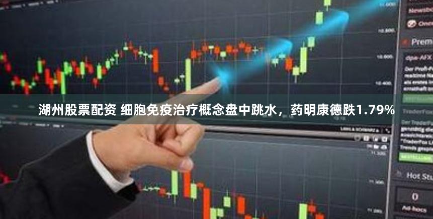 湖州股票配资 细胞免疫治疗概念盘中跳水，药明康德跌1.79%