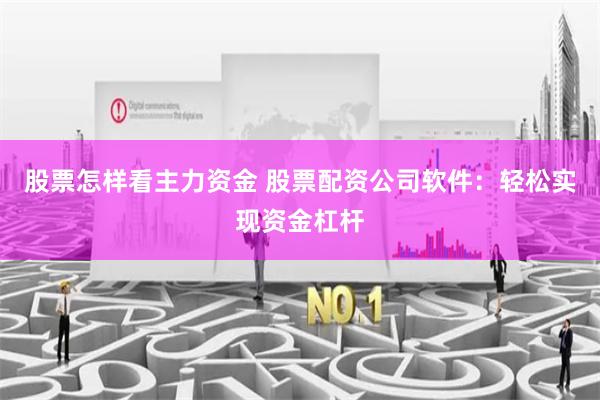 股票怎样看主力资金 股票配资公司软件：轻松实现资金杠杆