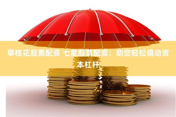 攀枝花股票配资 七星股票配资：助您轻松撬动资本杠杆