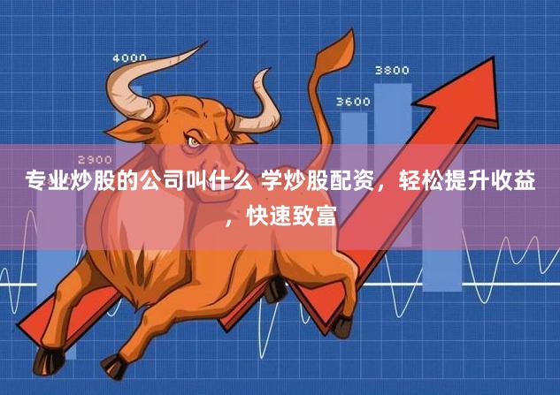 专业炒股的公司叫什么 学炒股配资，轻松提升收益，快速致富